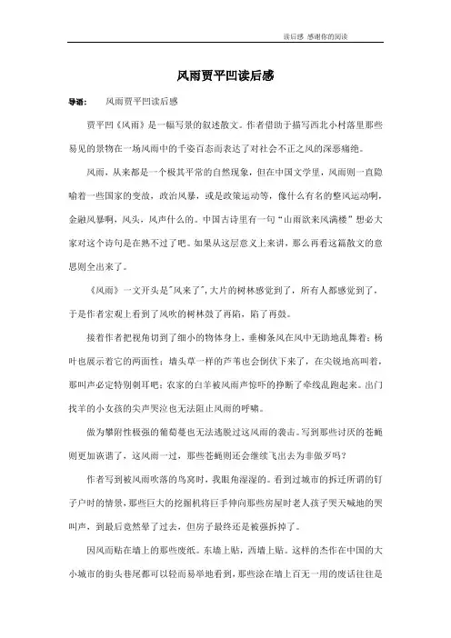 风雨贾平凹读后感