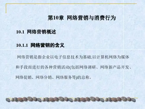 消费者行为 第10章  网络营销与消费行为