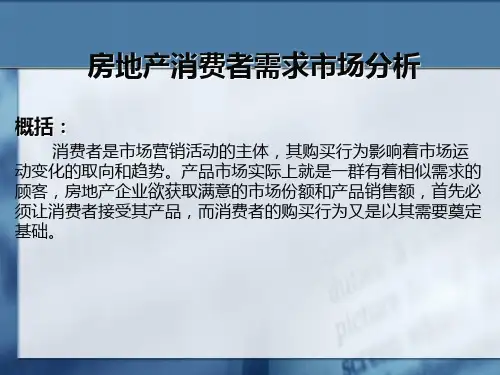 房地产消费者分析讲解