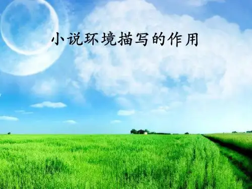 小说环境描写的作用