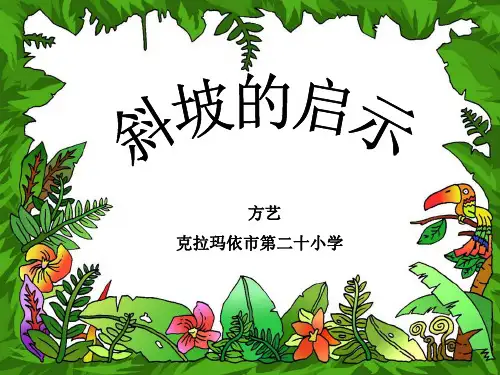 斜坡的启示