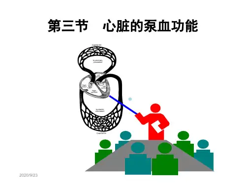 第4章血液循环心脏的泵血功能