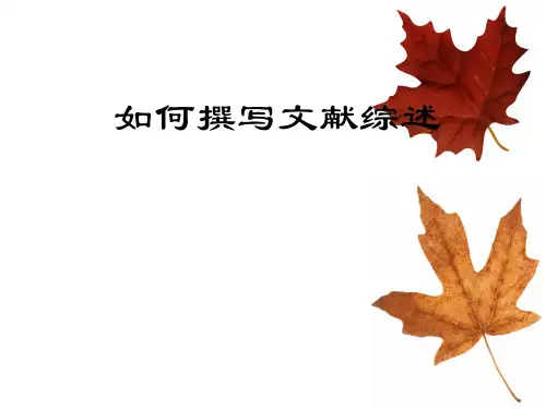 如何撰写文献综述