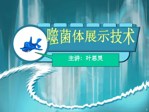 噬菌体展示技术ppt课件