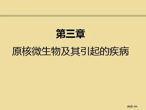 第三章 1原核微生物及其引起的疾病