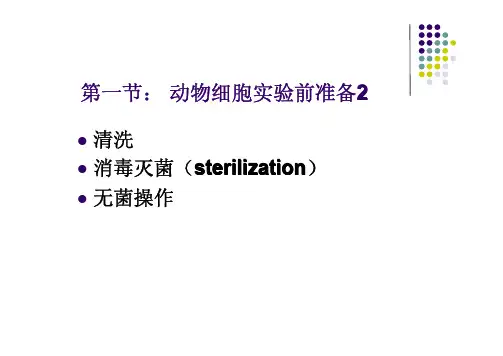 细胞培养-实验前准备