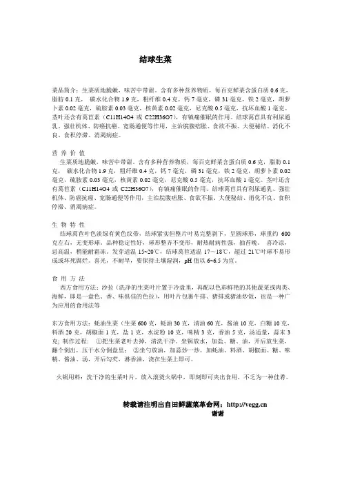结球生菜