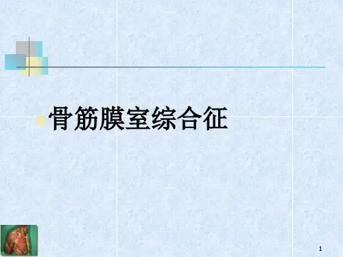 骨筋膜室综合征完整