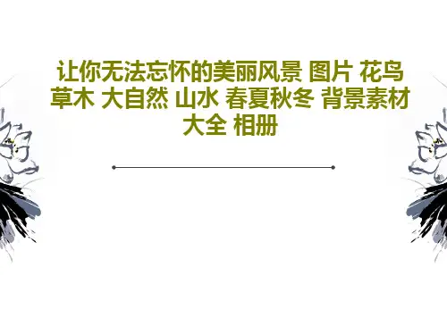 让你无法忘怀的美丽风景 图片 花鸟草木 大自然 山水 春夏秋冬 背景素材大全 相册81页PPT