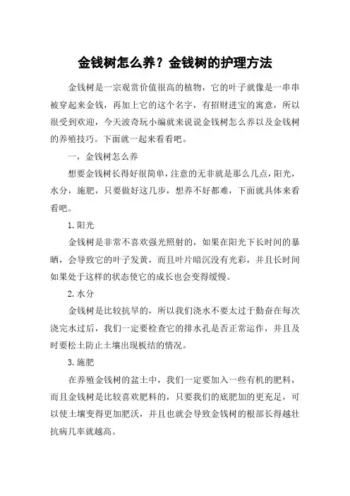 金钱树怎么养？金钱树的护理方法