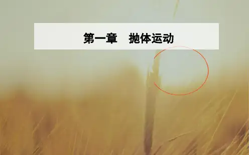 2018年高中物理粤教版必修2课件：第一章第一节什么是抛体运动
