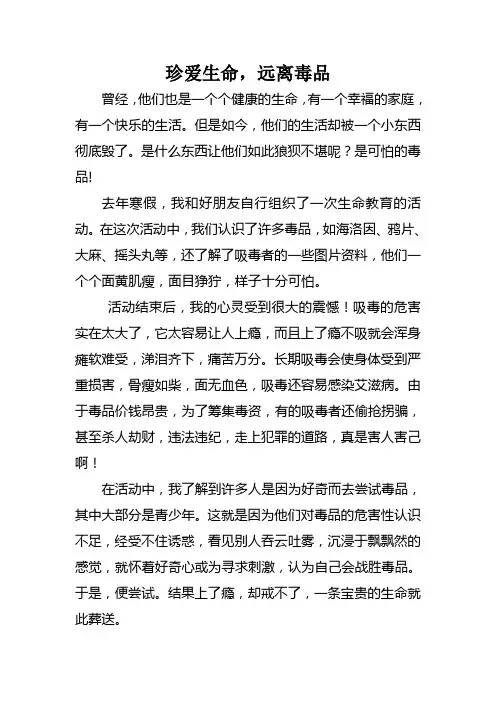 小学生禁毒征文