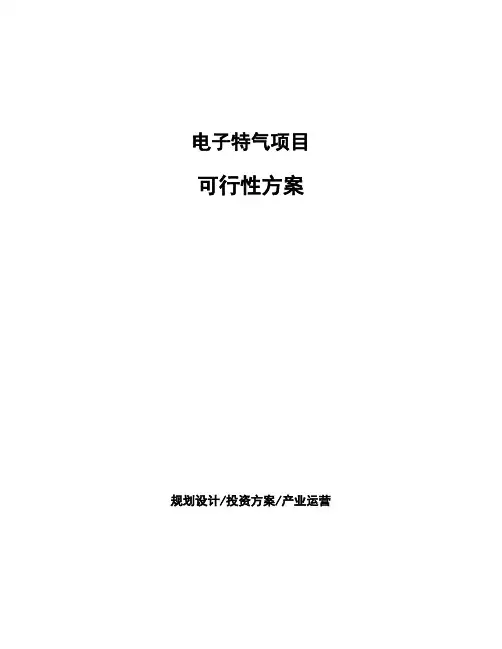 电子特气项目可行性方案