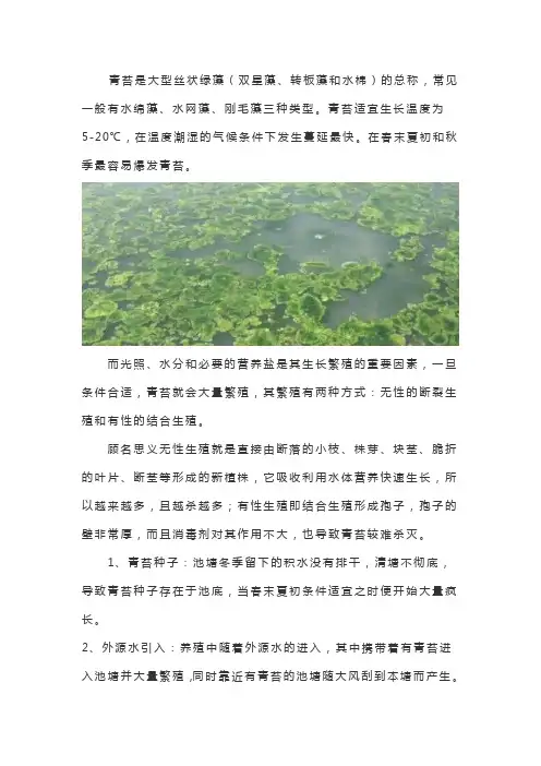 鱼池长青苔怎么办