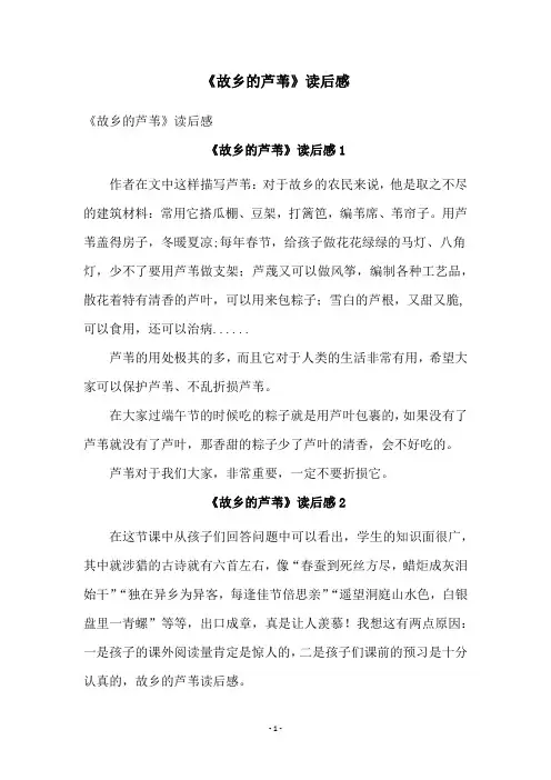 《故乡的芦苇》读后感