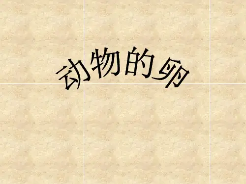 《动物的卵》1PPT课件