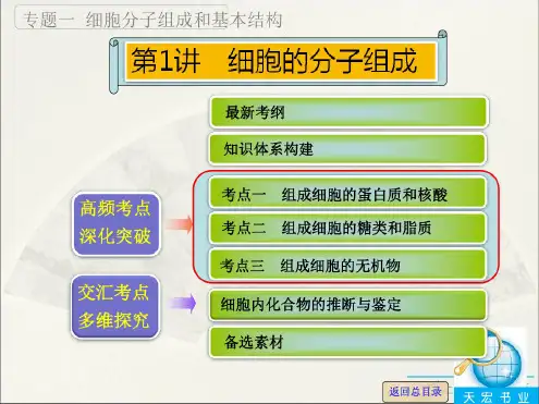 高中生物二轮复习细胞的分子组成