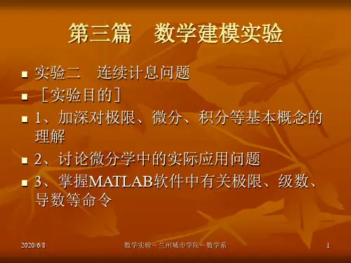 综合应用一微积分问题的计算机求解讲解材料