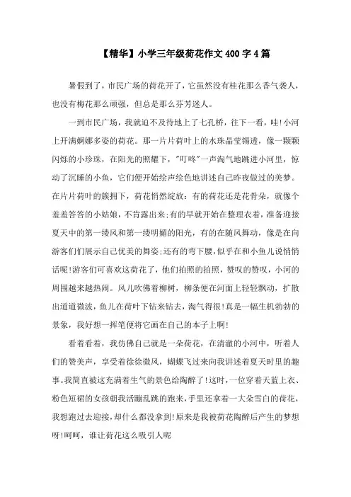 小学三年级荷花作文400字4篇范文精选