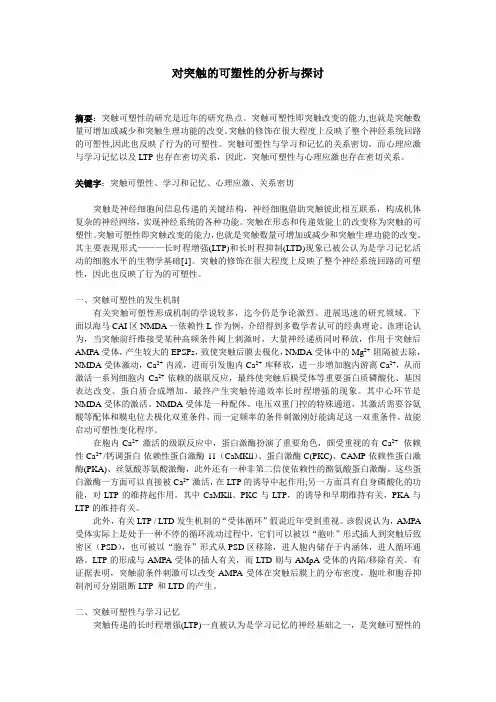 对突触的可塑性的分析与探讨