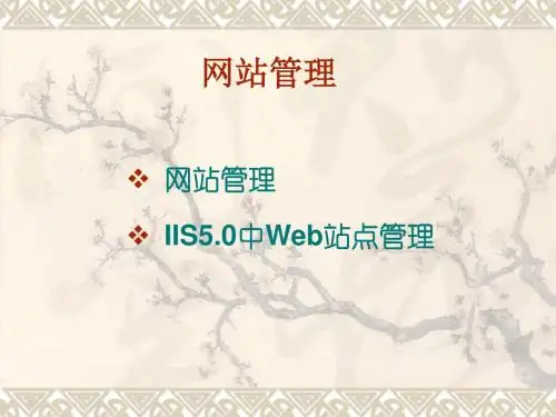 电子商务网站设计与管理(12-14)