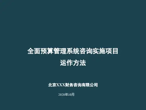 全面预算管理系统咨询实施项目运作方法(PPT课件)