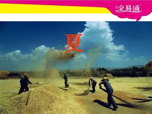 1《夏》PPT课件