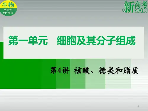 (全国卷 地区专用)高考生物总复习 第一单元 细胞及其分子组成 第4讲 核酸、糖类和脂质课件.ppt
