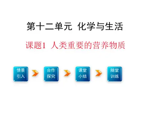 人教版化学九年级下册第十二单元 化学与生活