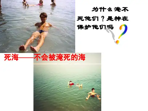 水的浮力(一)公开课