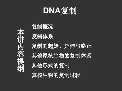 高中生物竞赛辅导课件—DNA复制2