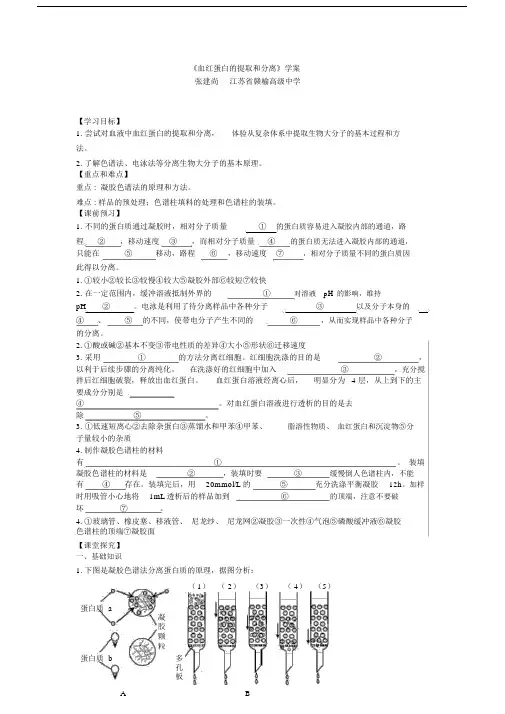《血红蛋白的提取和分离》学案.docx