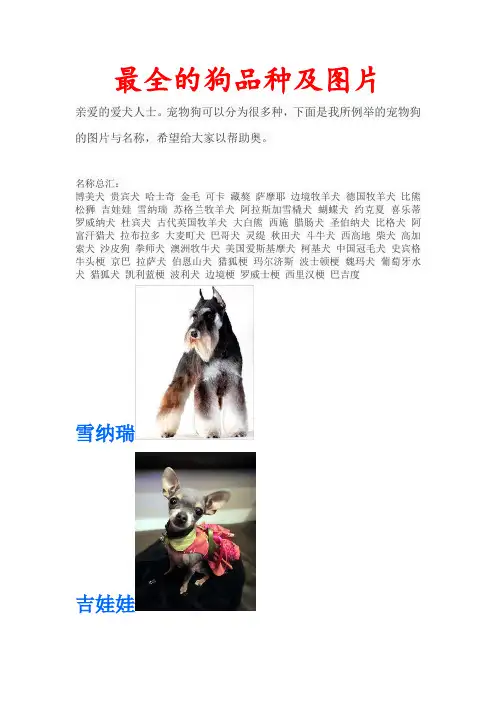 最全的狗品种及图片