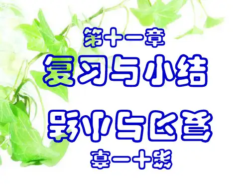 图形的运动(复习)