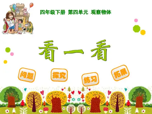 北师大版四年级下册数学《看一看》