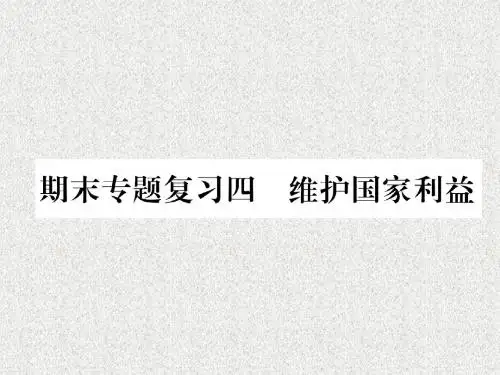部编人教版道德与法治八年级上册期末专题复习四维护国家利益