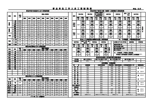 事业单位工作人员工资标准表