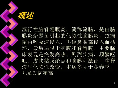 流行性脑脊髓膜炎课件
