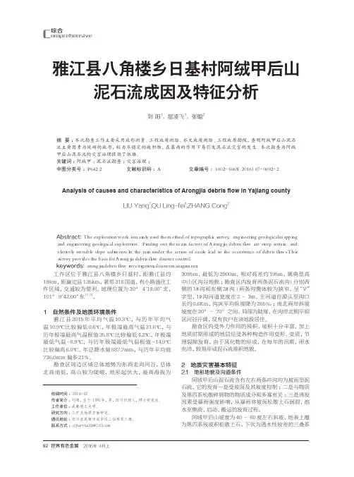 雅江县八角楼乡日基村阿绒甲后山泥石流成因及特征分析