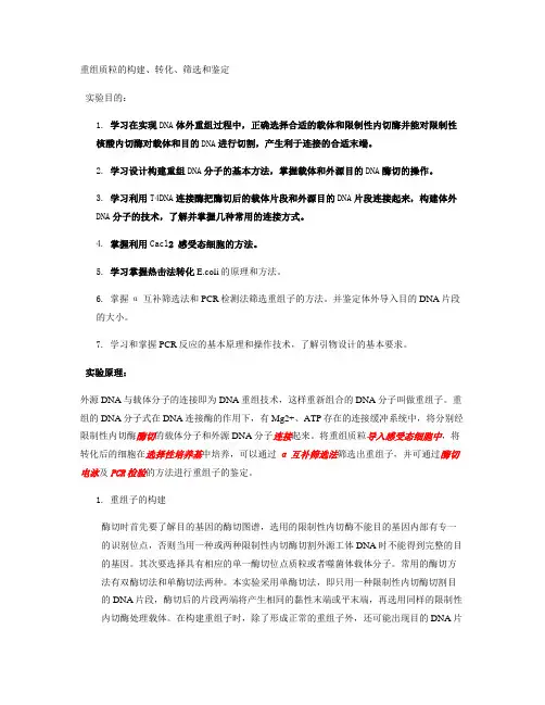 重组质粒的构建、转化、筛选和鉴定解析