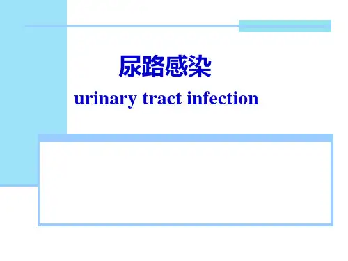 尿路感染诊断及护理