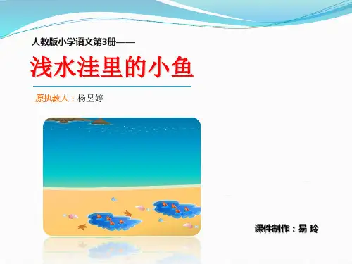 3-28《浅水洼里的小鱼》(杨昱婷)