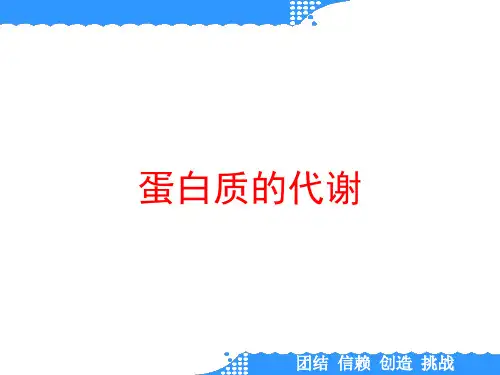 蛋白质的代谢