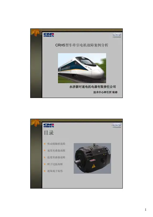 动车所牵引电机培训资料2-20101031