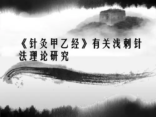 《针灸甲乙经》有关浅刺针法理论研究概述共30页