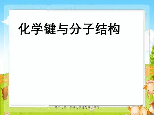 高二化学下学期化学键与分子结构