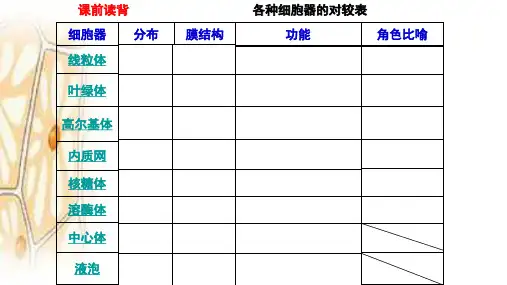 高中生物人教版必修一第3章第2节  细胞器   第二课时