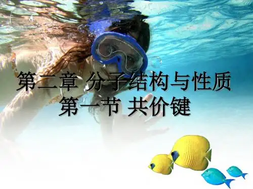 第一节_共价键1