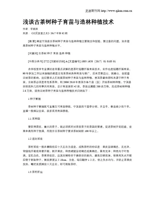浅谈古茶树种子育苗与造林种植技术