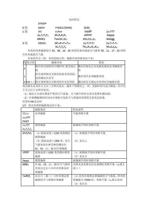 电码型式